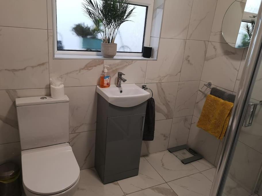 Gaeltacht Quarter Cosy Home بلفاست المظهر الخارجي الصورة